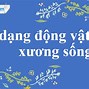 Câu Hỏi Về Giới Động Vật