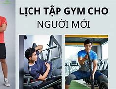 Lịch Tập Cho Người Mới Bắt Đầu