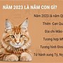 Sinh Con Tháng 8 Năm 2023