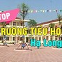 Sjc Trần Hưng Đạo Hạ Long