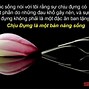 Sống Ở Đời Cho Thế Nào Thì Nhận Thế Ấy