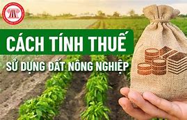 Thuế Đất Phi Nông Nghiệp