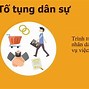 Tố Tụng Dân Sự Tiếng Anh Là Gì