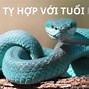 Tuổi Tỵ Hợp Với Tuổi Gì Nhất